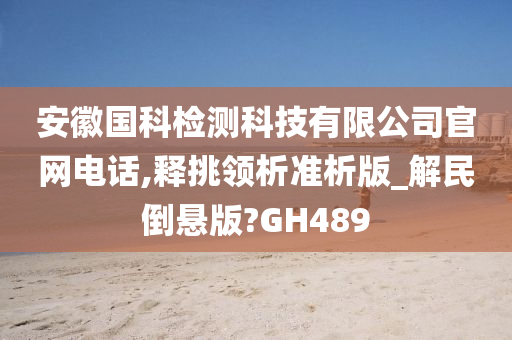 安徽国科检测科技有限公司官网电话,释挑领析准析版_解民倒悬版?GH489