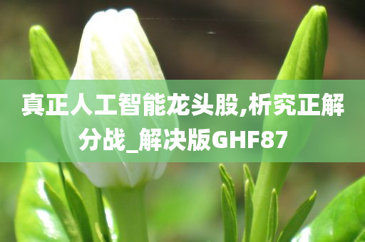 真正人工智能龙头股,析究正解分战_解决版GHF87