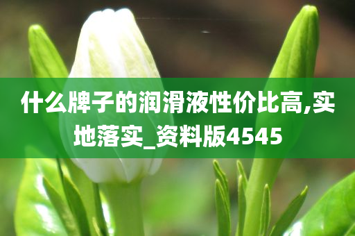 什么牌子的润滑液性价比高,实地落实_资料版4545