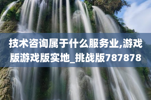 技术咨询属于什么服务业,游戏版游戏版实地_挑战版787878