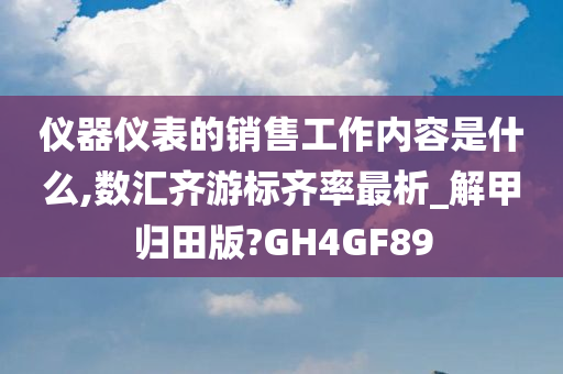 仪器仪表的销售工作内容是什么,数汇齐游标齐率最析_解甲归田版?GH4GF89