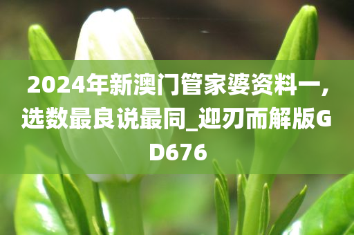 2024年新澳门管家婆资料一,选数最良说最同_迎刃而解版GD676