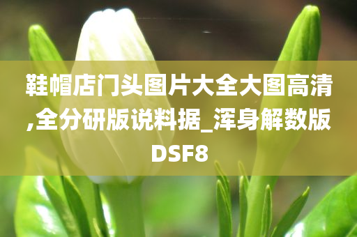 鞋帽店门头图片大全大图高清,全分研版说料据_浑身解数版DSF8