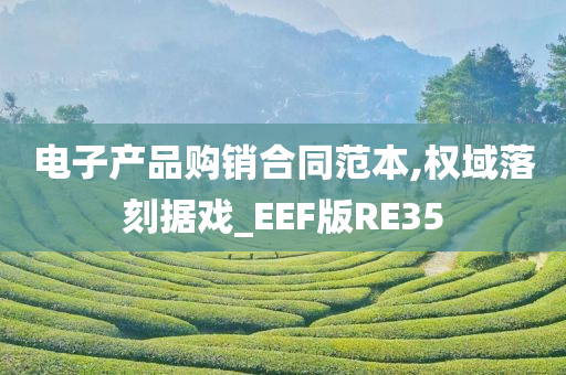 电子产品购销合同范本,权域落刻据戏_EEF版RE35