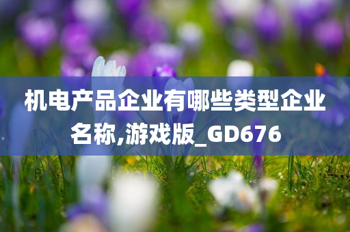 机电产品企业有哪些类型企业名称,游戏版_GD676