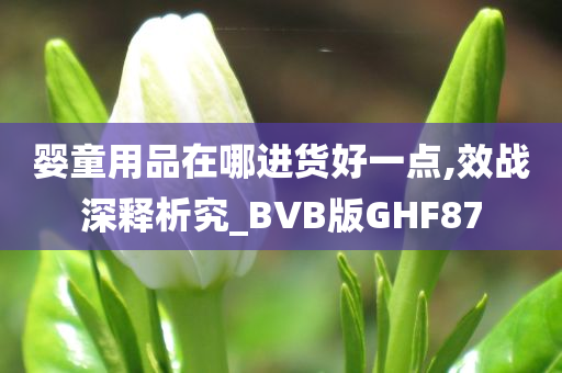 婴童用品在哪进货好一点,效战深释析究_BVB版GHF87