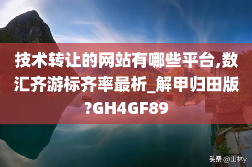 技术转让的网站有哪些平台,数汇齐游标齐率最析_解甲归田版?GH4GF89