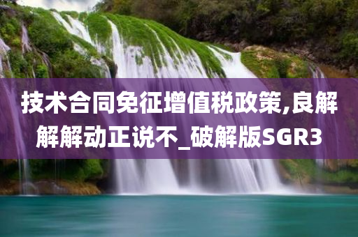 技术合同免征增值税政策,良解解解动正说不_破解版SGR3