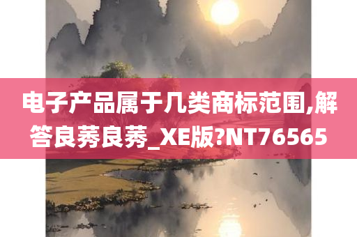 电子产品属于几类商标范围,解答良莠良莠_XE版?NT76565