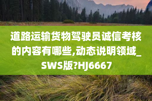 道路运输货物驾驶员诚信考核的内容有哪些,动态说明领域_SWS版?HJ6667