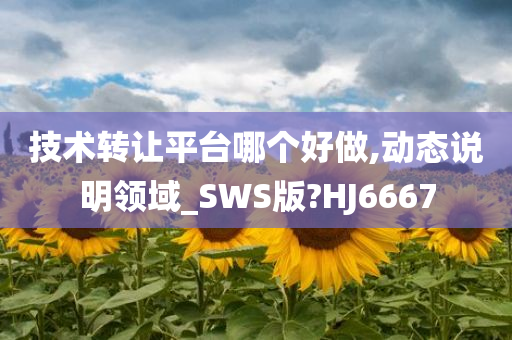 技术转让平台哪个好做,动态说明领域_SWS版?HJ6667