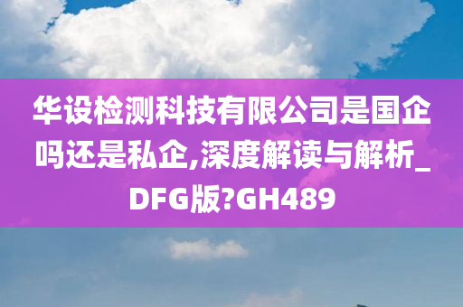 华设检测科技有限公司是国企吗还是私企,深度解读与解析_DFG版?GH489