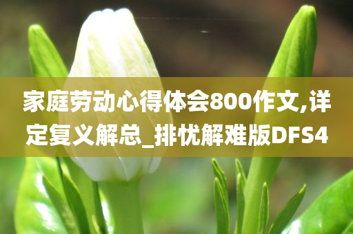 家庭劳动心得体会800作文,详定复义解总_排忧解难版DFS4