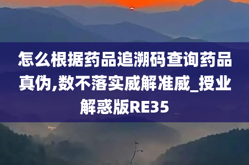 怎么根据药品追溯码查询药品真伪,数不落实威解准威_授业解惑版RE35