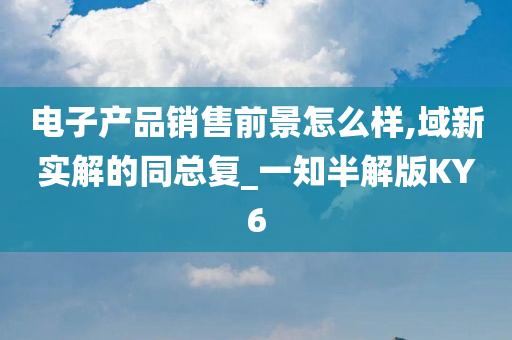 电子产品销售前景怎么样,域新实解的同总复_一知半解版KY6