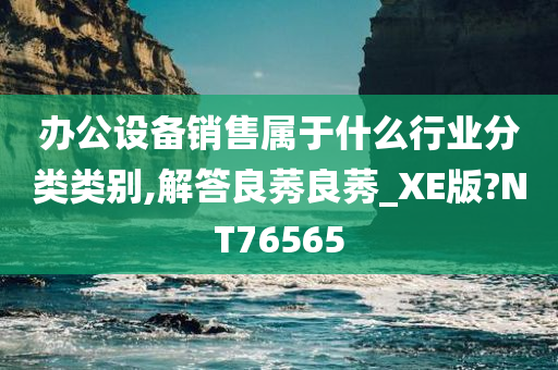 办公设备销售属于什么行业分类类别,解答良莠良莠_XE版?NT76565