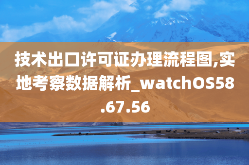 技术出口许可证办理流程图,实地考察数据解析_watchOS58.67.56