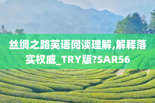 丝绸之路英语阅读理解,解释落实权威_TRY版?SAR56