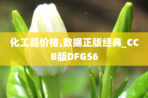 化工品价格,数据正版经典_CCB版DFG56