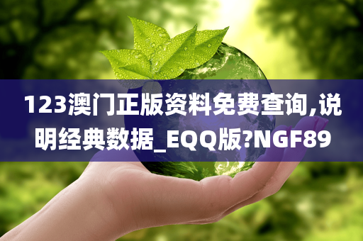 123澳门正版资料免费查询,说明经典数据_EQQ版?NGF89