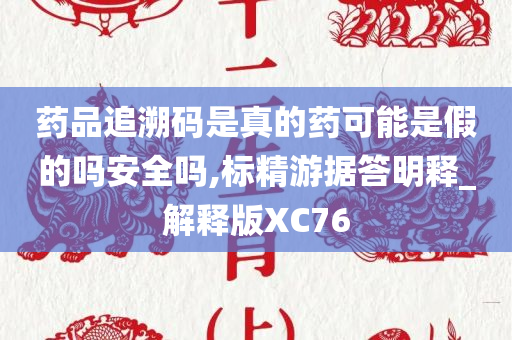 药品追溯码是真的药可能是假的吗安全吗,标精游据答明释_解释版XC76