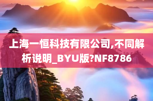 上海一恒科技有限公司,不同解析说明_BYU版?NF8786