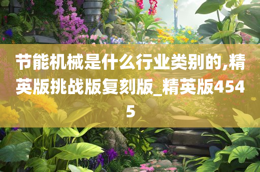 节能机械是什么行业类别的,精英版挑战版复刻版_精英版4545