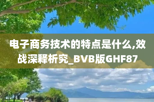 电子商务技术的特点是什么,效战深释析究_BVB版GHF87