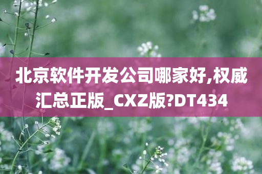 北京软件开发公司哪家好,权威汇总正版_CXZ版?DT434