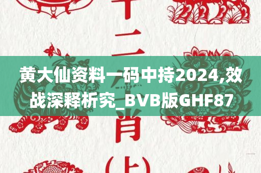 黄大仙资料一码中持2024,效战深释析究_BVB版GHF87