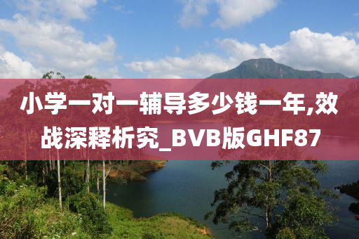 小学一对一辅导多少钱一年,效战深释析究_BVB版GHF87