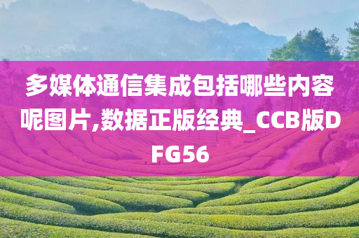 多媒体通信集成包括哪些内容呢图片,数据正版经典_CCB版DFG56