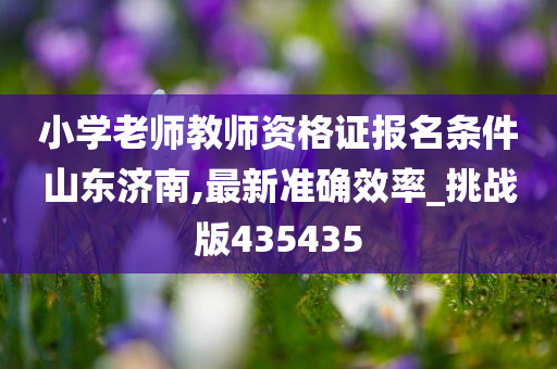 小学老师教师资格证报名条件山东济南,最新准确效率_挑战版435435