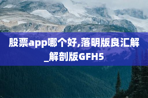 股票app哪个好,落明版良汇解_解剖版GFH5