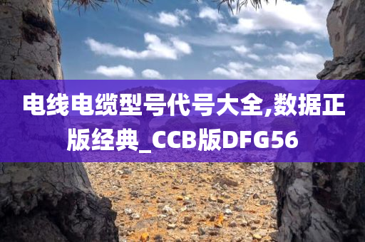 电线电缆型号代号大全,数据正版经典_CCB版DFG56