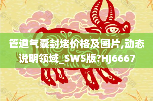 管道气囊封堵价格及图片,动态说明领域_SWS版?HJ6667