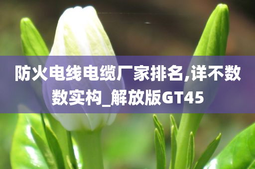 防火电线电缆厂家排名,详不数数实构_解放版GT45