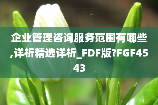 企业管理咨询服务范围有哪些,详析精选详析_FDF版?FGF4543