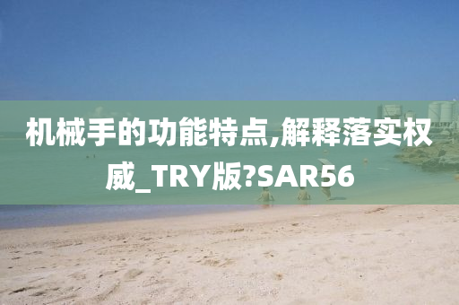 机械手的功能特点,解释落实权威_TRY版?SAR56