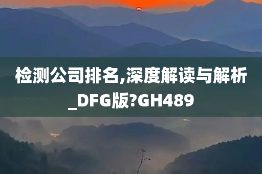 检测公司排名,深度解读与解析_DFG版?GH489