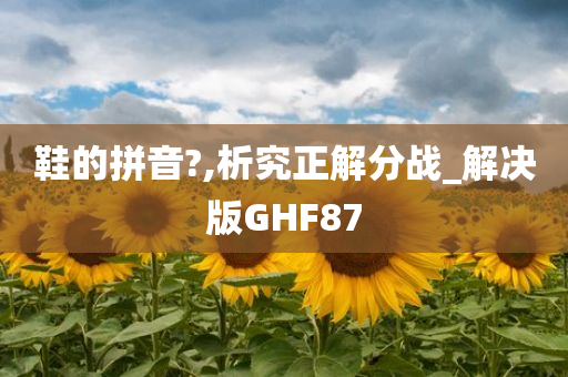 鞋的拼音?,析究正解分战_解决版GHF87