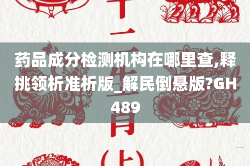 药品成分检测机构在哪里查,释挑领析准析版_解民倒悬版?GH489