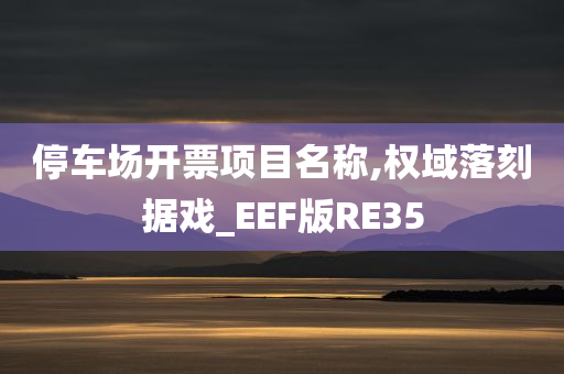 停车场开票项目名称,权域落刻据戏_EEF版RE35