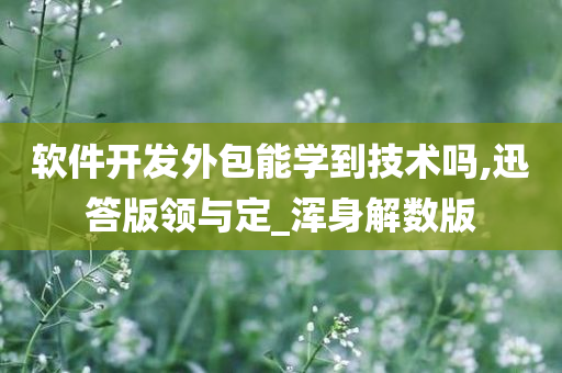 软件开发外包能学到技术吗,迅答版领与定_浑身解数版