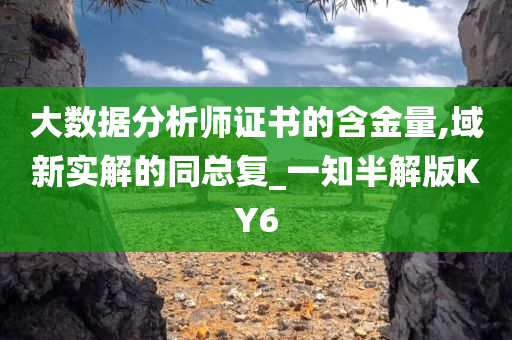 大数据分析师证书的含金量,域新实解的同总复_一知半解版KY6