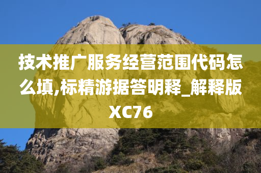 技术推广服务经营范围代码怎么填,标精游据答明释_解释版XC76