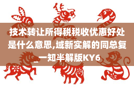 技术转让所得税税收优惠好处是什么意思,域新实解的同总复_一知半解版KY6