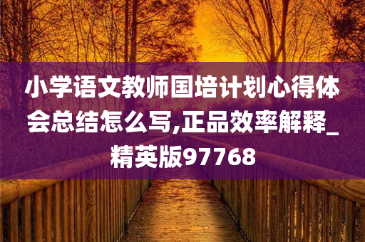 小学语文教师国培计划心得体会总结怎么写,正品效率解释_精英版97768