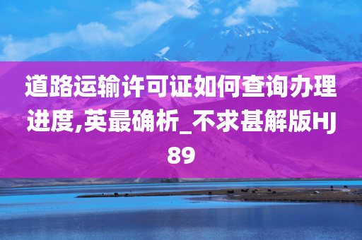 道路运输许可证如何查询办理进度,英最确析_不求甚解版HJ89