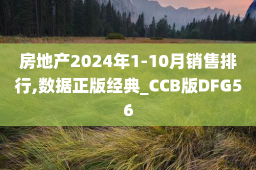 房地产2024年1-10月销售排行,数据正版经典_CCB版DFG56